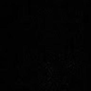 Meet your Posher, Ella